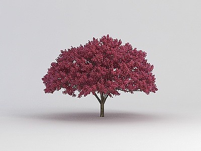 3d樱桃树模型