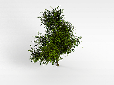 3d绿叶灌木模型