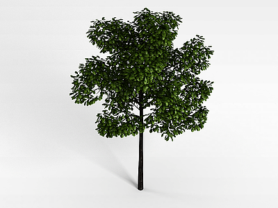 公园树木模型