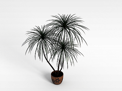 棕榈树盆栽模型