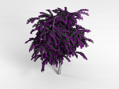3d紫丁香花模型