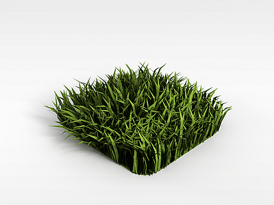草模型