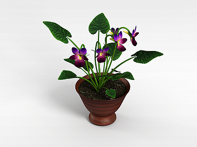 3d盆栽花模型
