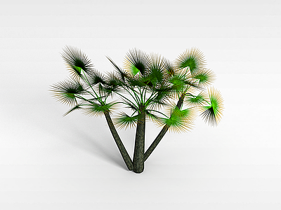 3d扇形棕榈树模型