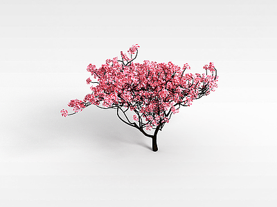 3d樱花树模型