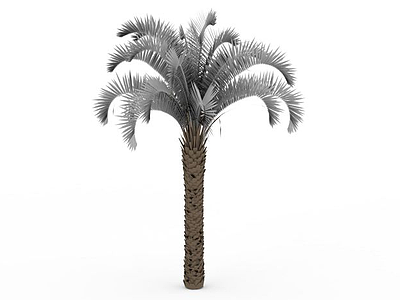 景观椰子树模型