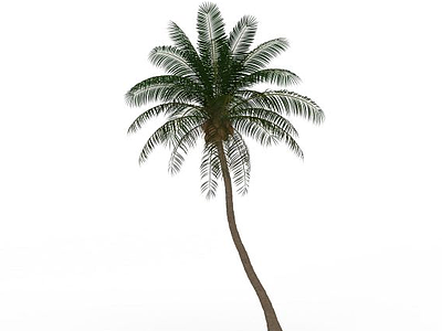 景观椰子树模型3d模型