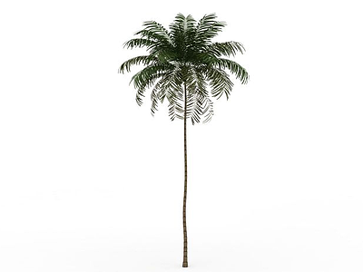 3d绿色椰子树免费模型