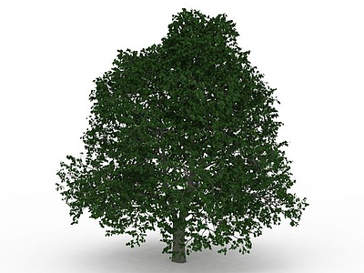 3d矮树冠绿叶树免费模型