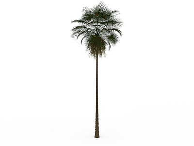 3d绿色椰子树免费模型