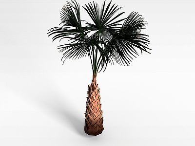 3d<font class='myIsRed'>棕榈树</font>模型