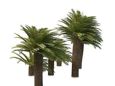 3d<font class='myIsRed'>棕榈树</font>免费模型