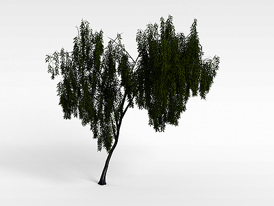 柳树模型3d模型
