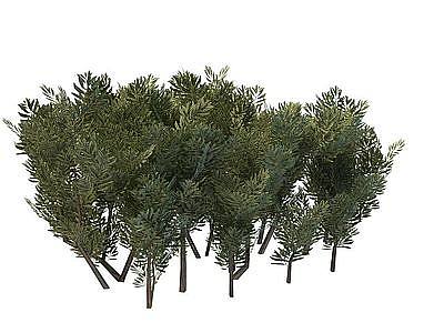 3d<font class='myIsRed'>园林树木</font>免费模型