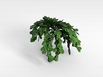 绿色灌木模型
