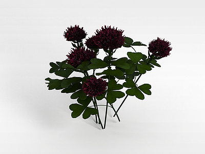 紫色花朵模型3d模型
