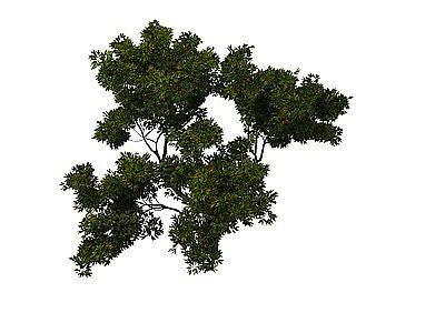 3d<font class='myIsRed'>园林树</font>木免费模型