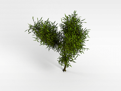 3d绿色长叶灌木模型