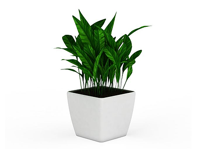 3d绿化植物模型
