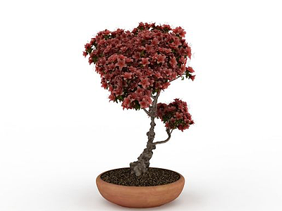 3d红叶盆栽免费模型