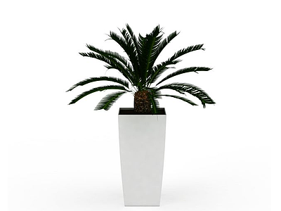 观赏植物模型3d模型