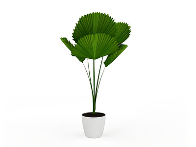 3d人造室内植物免费模型