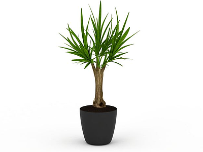 3d小树植物模型