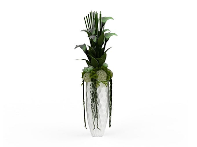 室内观赏植物模型3d模型