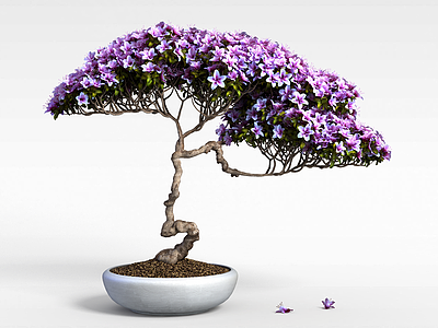 紫色花盆栽模型3d模型