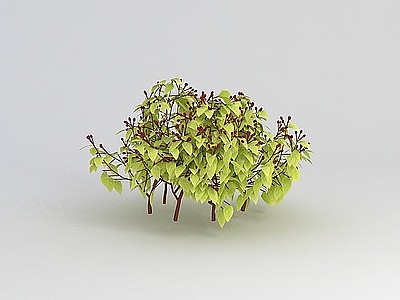 3d绿叶丛生灌木模型