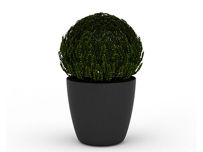 球型植物模型3d模型