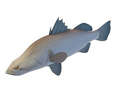 海鱼模型3d模型