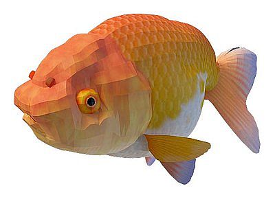 3d金黄鱼免费模型