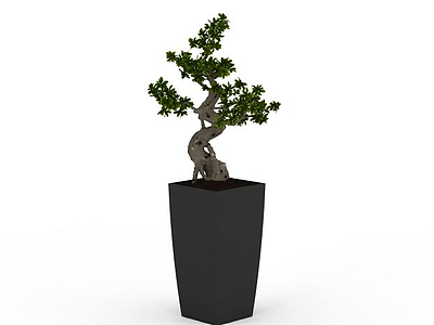 小树盆栽模型3d模型