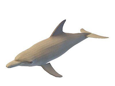 海豚模型3d模型