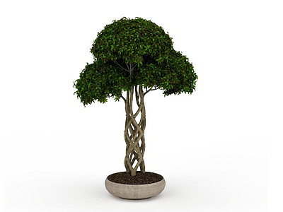 室外植物模型3d模型