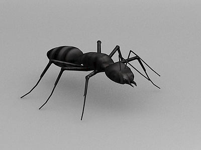 蚂蚁模型
