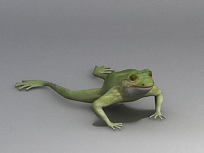 3d黑斑蛙免费模型