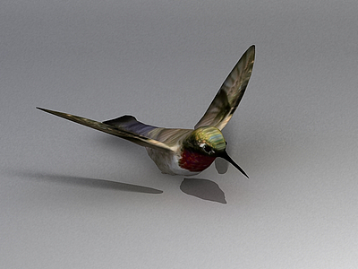 小鸟模型3d模型