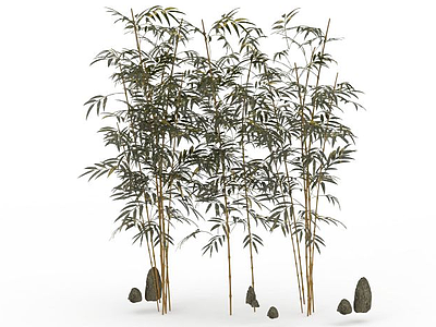 园艺竹子模型
