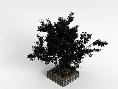 绿叶树景观模型3d模型