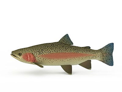 深海鱼模型3d模型
