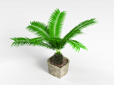 盆栽绿化植物模型3d模型