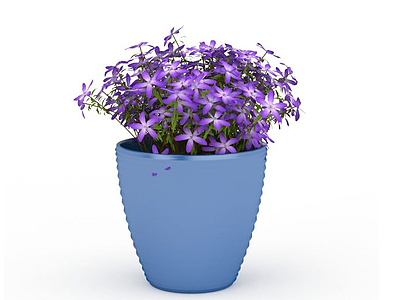紫色五角星盆栽模型3d模型