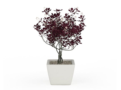 红色植物盆栽模型3d模型
