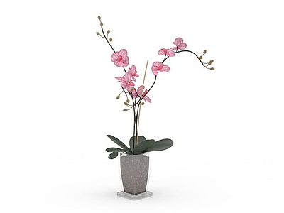 3d粉色花盆栽模型