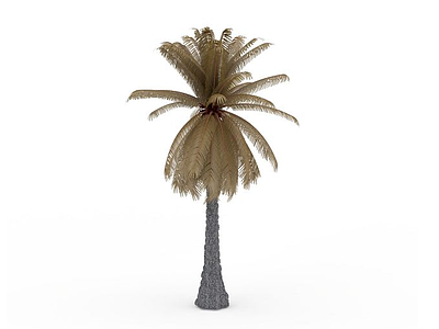 3d阿联酋枣椰树模型