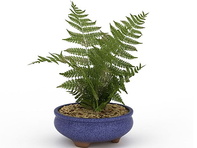 室内植物盆栽模型3d模型