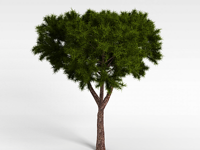 3d绿色观赏松树模型