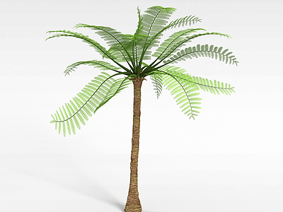 3d海边椰子树模型